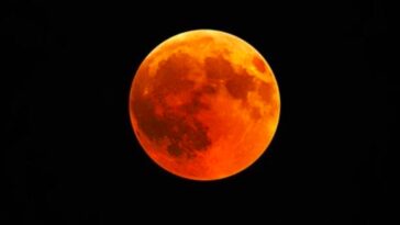 Eclissi lunare 19 Novembre a che ora e come vederla
