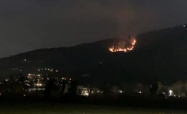 incendio monte Maddalena 