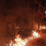incendio parco delle groane