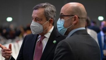 draghi Cingolani