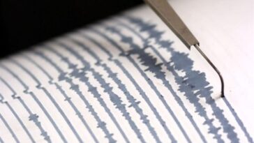 sismografo terremoto Firenze