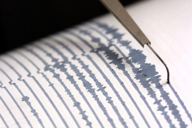 sismografo terremoto Firenze 