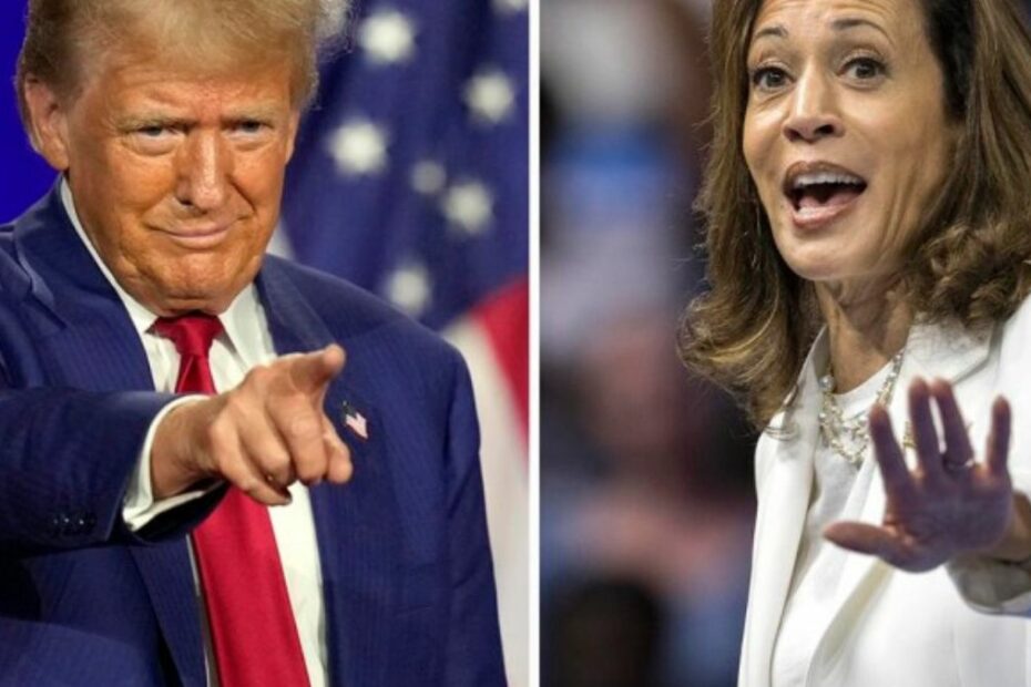 Il confronto in tv tra Trump e Harris visto da Rampini: "Chi ha vinto"