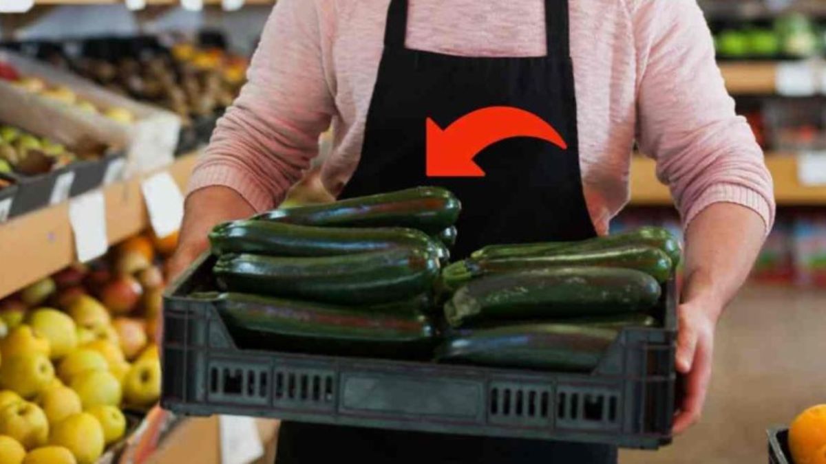  zucchine fuori stagione sono pericolose