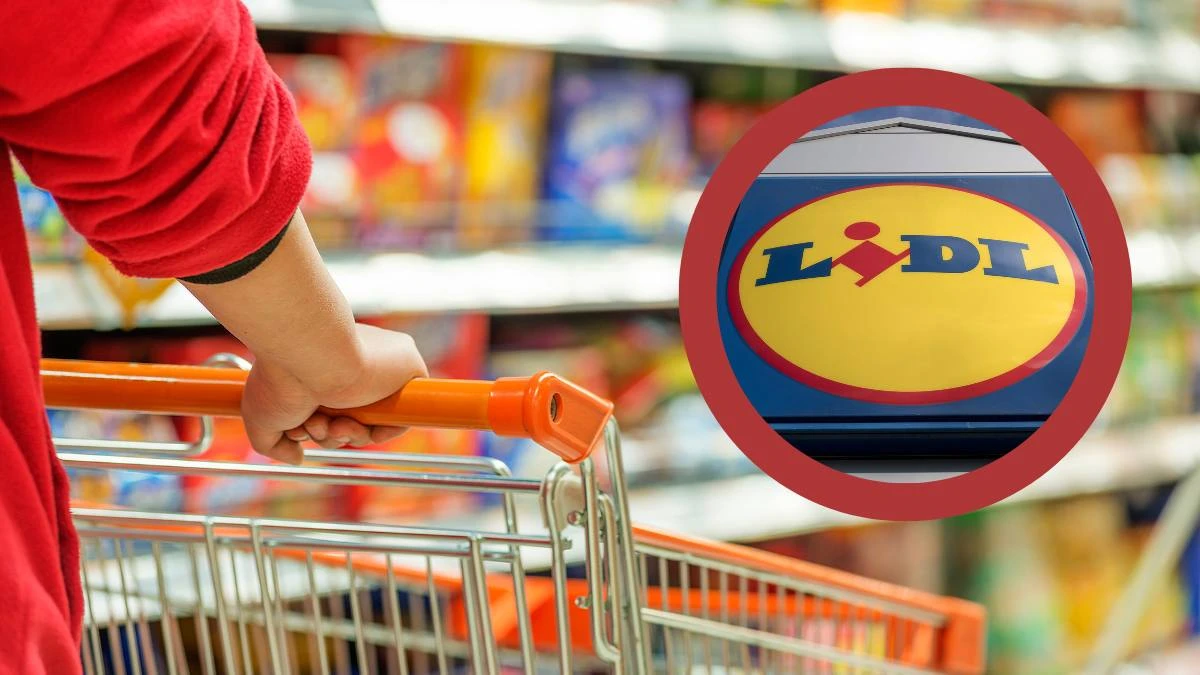 Lidl rivoluziona le casse nel 2025: cosa cambia per i clienti Lidl rivoluziona le casse nel 2025: cosa cambia per i clienti