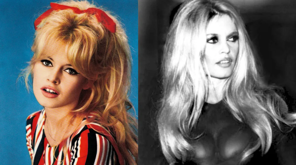 Brigitte Bardot oggi