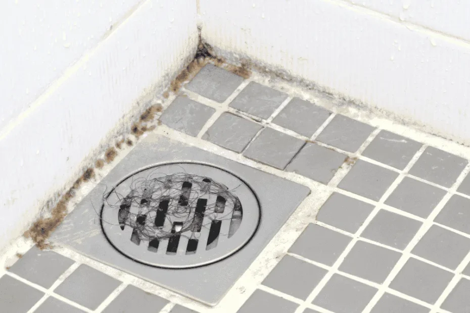 Muffa nera nei giunti del bagno tra piastrelle