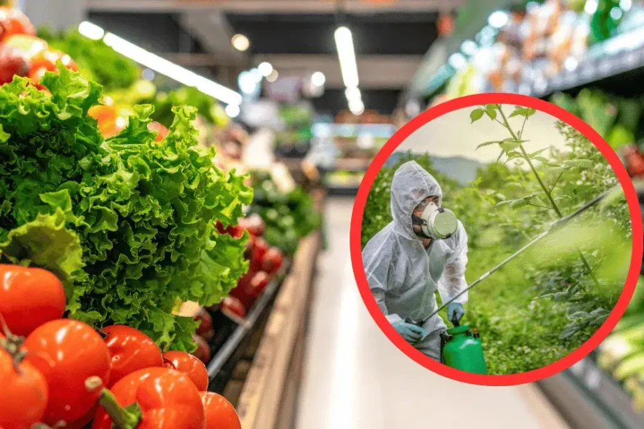 Pesticidi nel piatto, allarme Legambiente 2025: questo ortaggio è il più contaminato