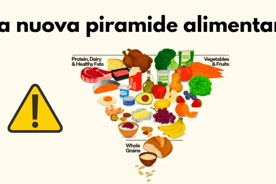 nuova piramide alimentare USA