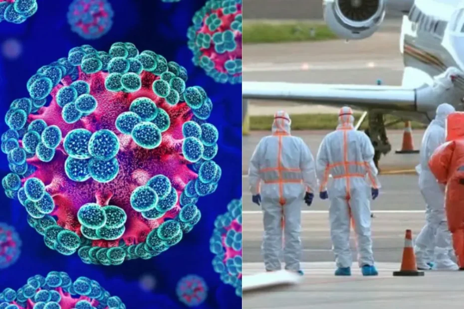 Hantavirus, le ultime notizie di oggi