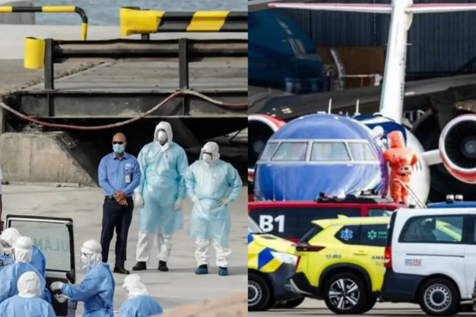 nave klm, interviene il Ministero italiano. Ma come si trasmette l'hantavirus? Ecco tutti i sintomi