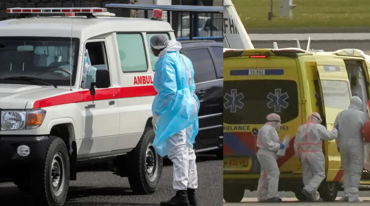 hantavirus chi 232 il paziente zero l8217ornitologo che ha infettato la nave da Urbanpost.it hantavirus chi 232 il paziente zero l8217ornitologo che ha infettato la nave