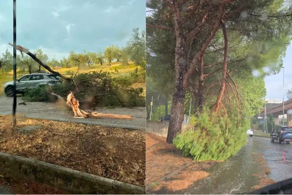 Tromba d’aria in Umbria, alberi abbattuti dal forte vento a Perugia e nell’Orvietano