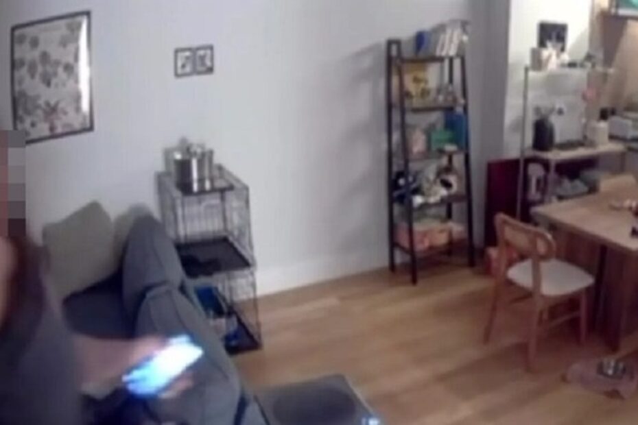 New York, una coppia in vacanza scopre una sconosciuta in casa grazie alle telecamere di sicurezza