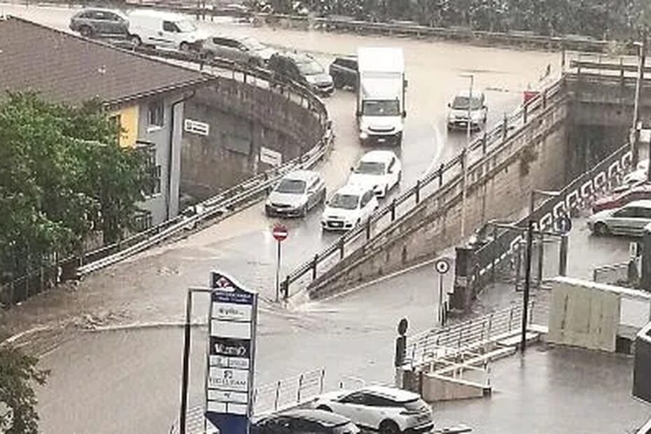 Violento nubifragio a Potenza, alberi caduti e strade allagate in città