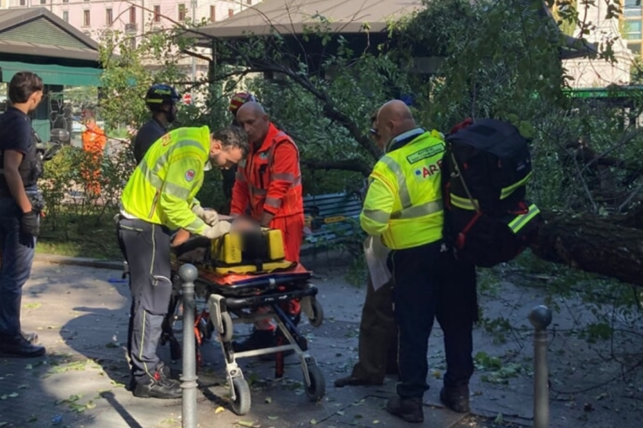 L'albero crollato in piazza Risorgimento a Milano, tre passanti feriti