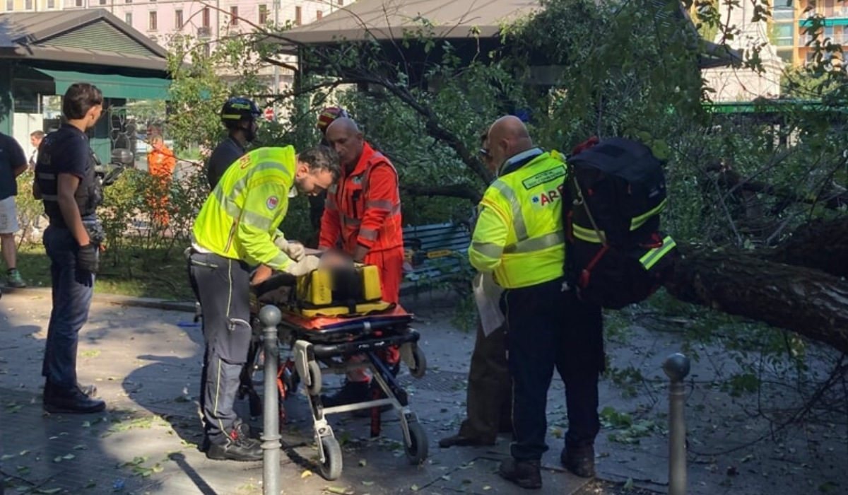L'albero crollato in piazza Risorgimento a Milano, tre passanti feriti