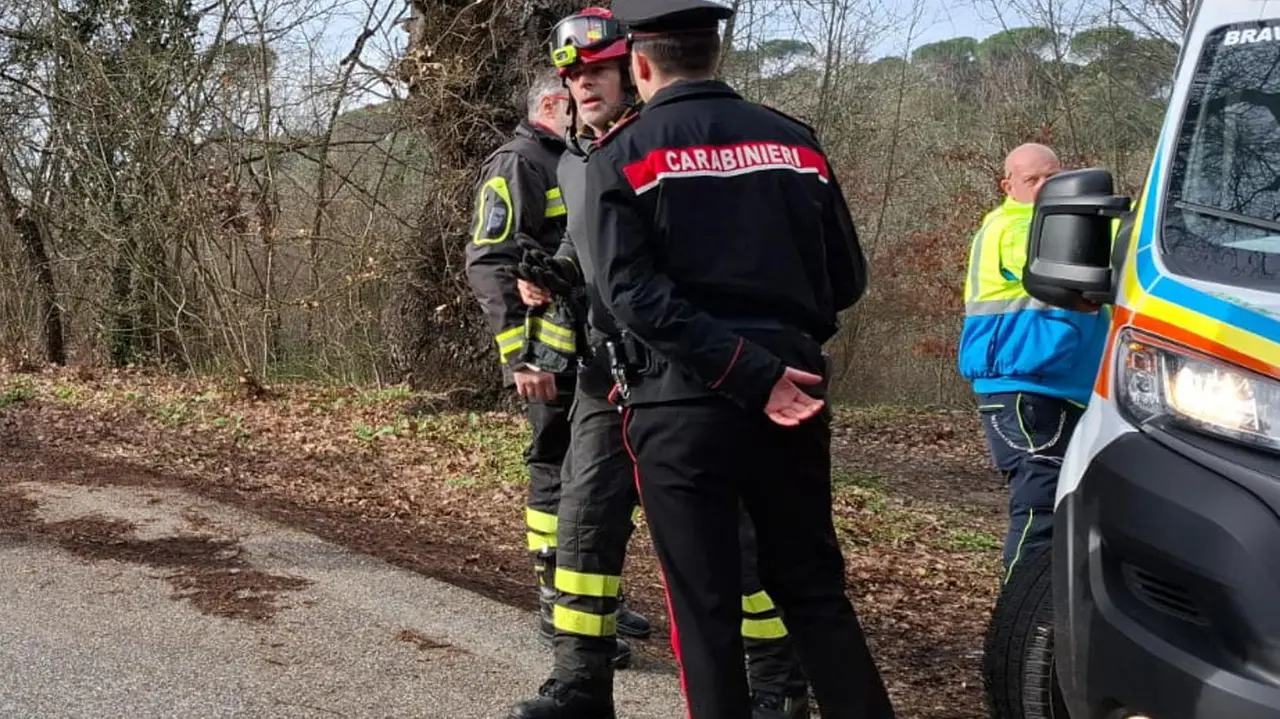 verona giovane di 25 anni trovato morto in un bosco nel quartiere san massimo fermato un uomo di 50 anni era stato lui a dare l8217allarme la procura indaga per omicidio da Urbanpost.it verona giovane di 25 anni trovato morto in un bosco nel quartiere san massimo fermato un uomo di 50 anni era stato lui a dare l8217allarme la procura indaga per omicidio