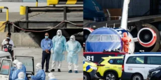 nave klm, interviene il Ministero italiano. Ma come si trasmette l'hantavirus? Ecco tutti i sintomi