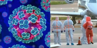 Hantavirus, le ultime notizie di oggi